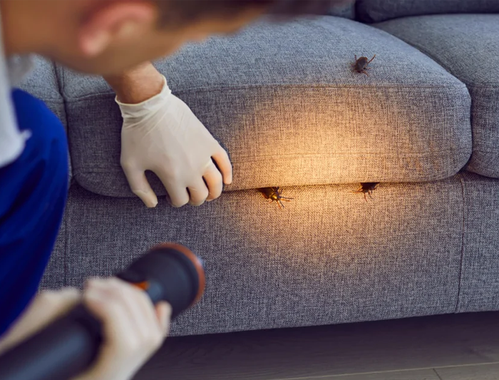 5 Ways to Deter Pests from Your Motorhome